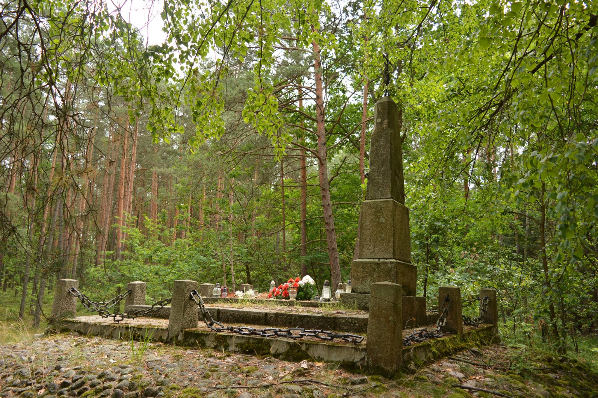 mogiła Powstańców Styczniowych w lesie pod Łucznicą, gmina Pilawa